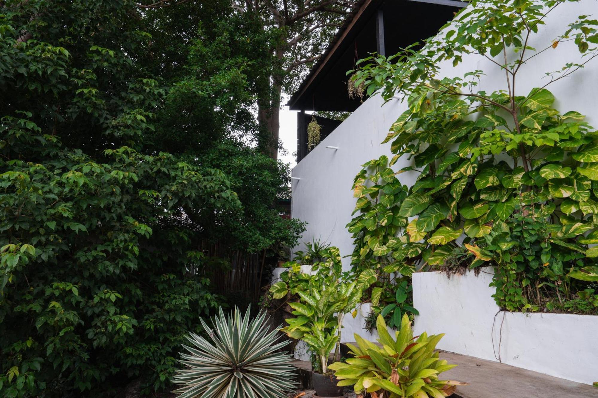 Lunar Villas Koh Tao - Luxury Private Pool Villas Exterior foto